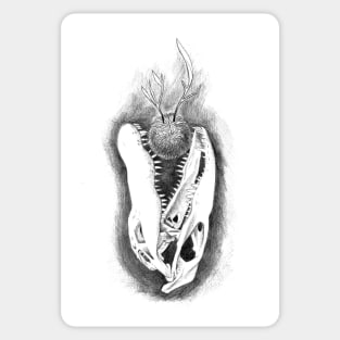 Crocodile Skull Sticker